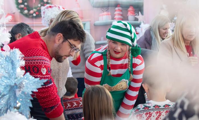 Christmas Activities at Rheidol Valley Railway